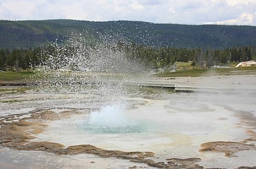 イエローストーン 84