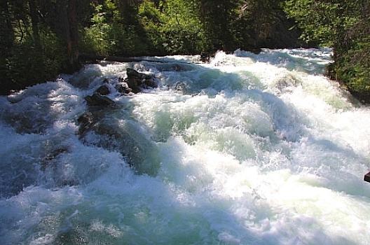 グランドティートン国立公園 57