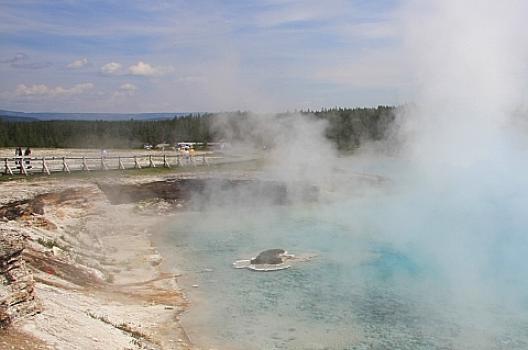 イエローストーン 24