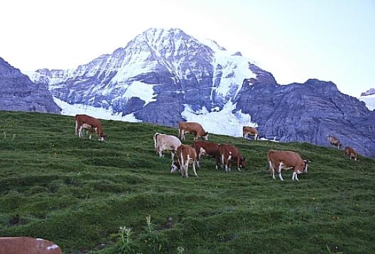 2010年夏クイズ 103