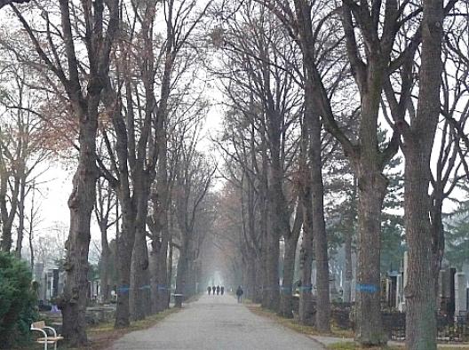 ウィーン中央墓 59