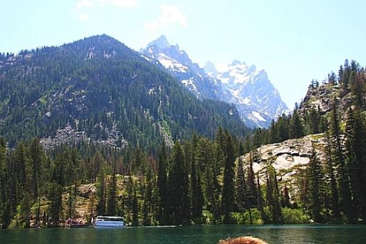 グランドティートン国立公園 45