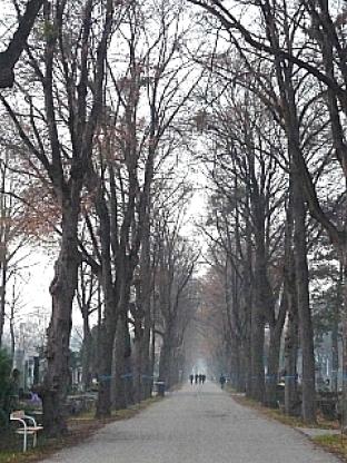 ウィーン中央墓 60