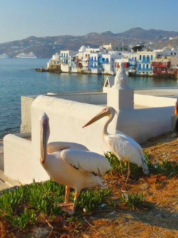 ベリカンと街 2