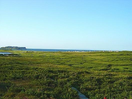 ランス・オ・メドウ 2