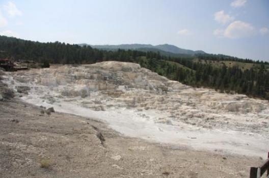 イエローストーン 178