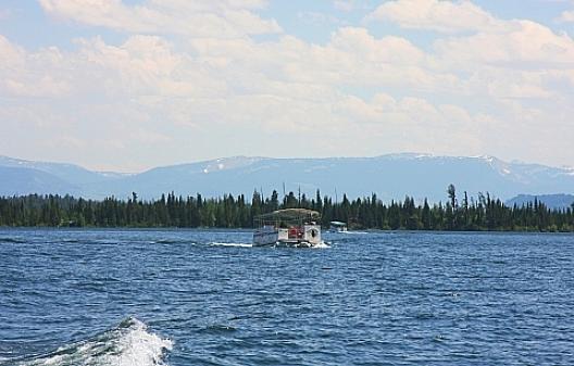 グランドティートン国立公園 46