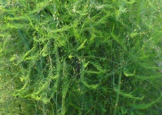 これは何? クイズ 3