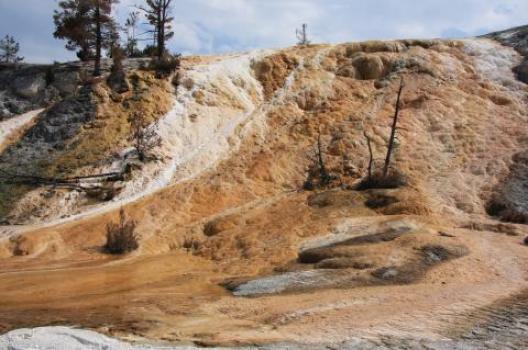 イエローストーン 182