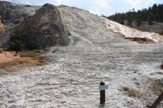 イエローストーン 183