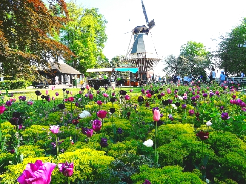 キューケンホフ公園　2