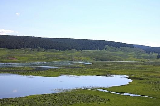 イエローストーン 138