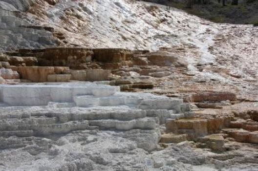 イエローストーン 184