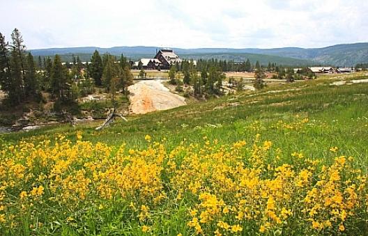 イエローストーン  53