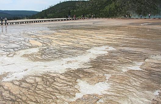 イエローストーン 28