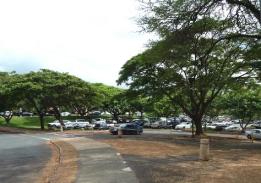 KCCマーケット 8