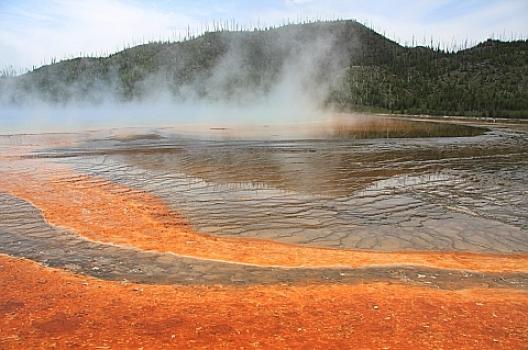 イエローストーン 31