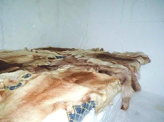 ノルウェーのアイスホテル 18