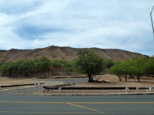 KCCマーケット 13