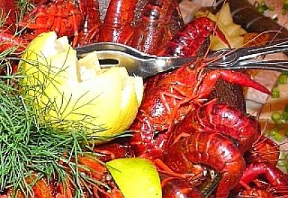 ノルウェーのザリガニ 2