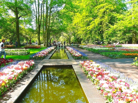 キューケンホフ公園　3