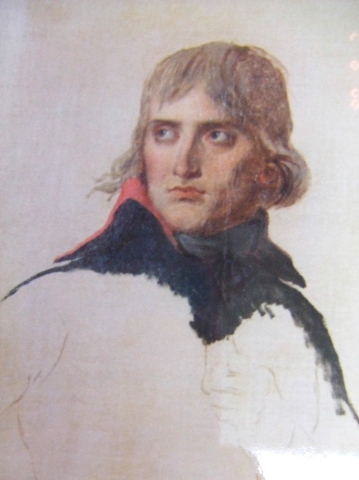 ナポレオンの肖像