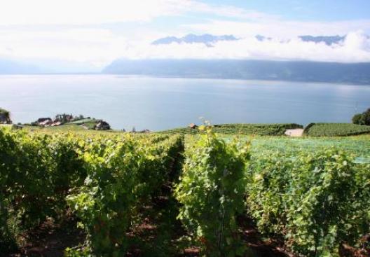 スイス・レマン湖 2