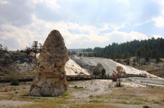 イエローストーン 185