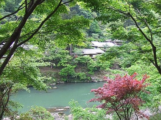 トロッコ列車 5