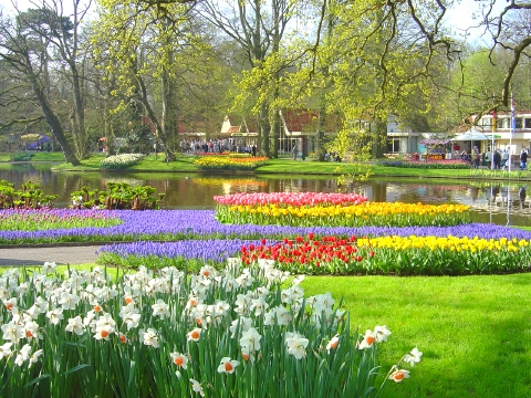キューケンホフ公園　4