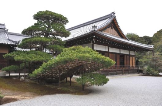 鹿苑寺の金閣 9