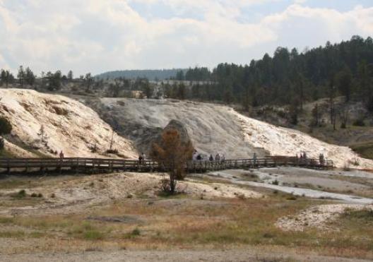 イエローストーン 186