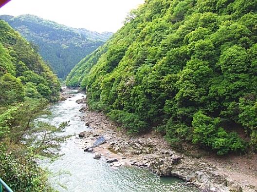 トロッコ列車 7