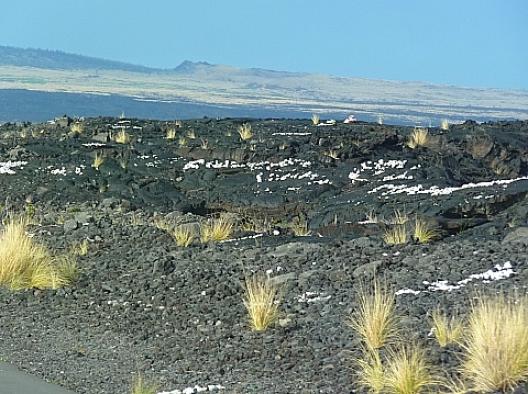 クエスチョン 4