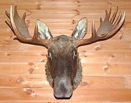 ノルウェーのアイスホテル 20