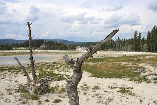 イエローストーン 87