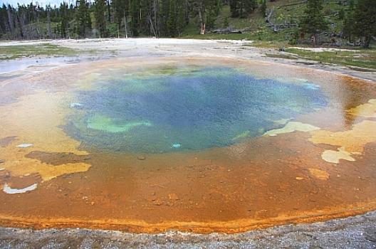 イエローストーン 88