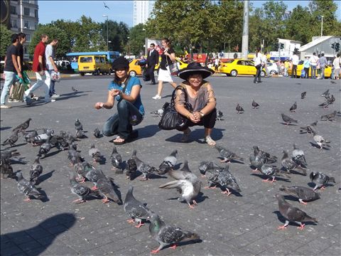 タクシムスクエアて鳩と戯れる