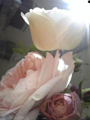 2011-01-02 16:48:00