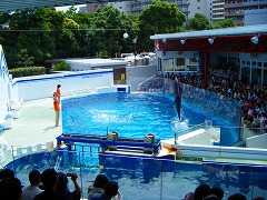 品川水族館