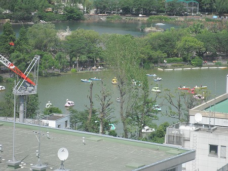 上野公園　ボート乗り場の景色　病室より