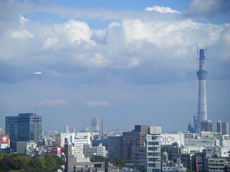 スカイツリ―成長前