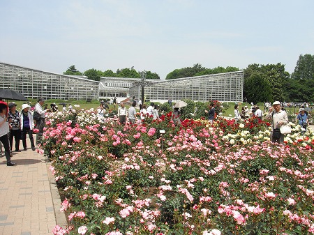 神代植物園