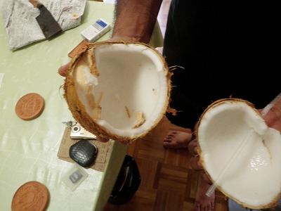 割れ椰子の実