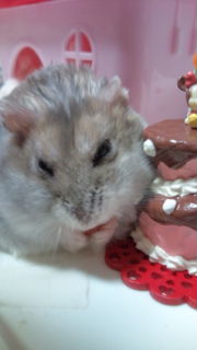 2010-12-20 23:33:47