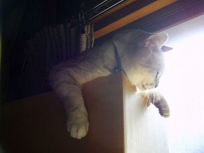 ポカポカよぉ～