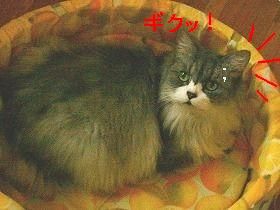 ヤバッ！私は姫よ(￣^￣)ｲﾊﾞﾘ！