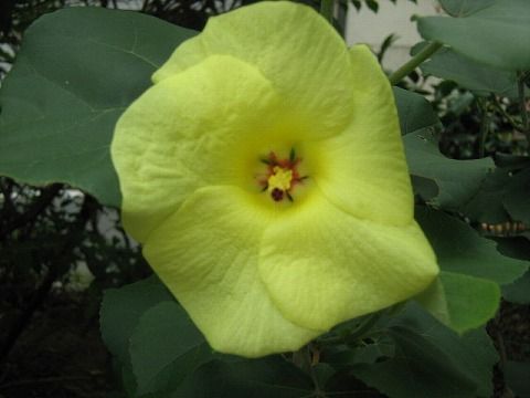 IMG_1773.jpg