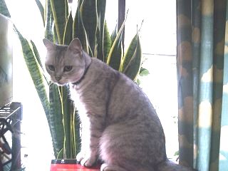 ジッと見つめる、見つめる、見つめる…