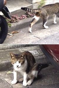 遊ぼうよ～
